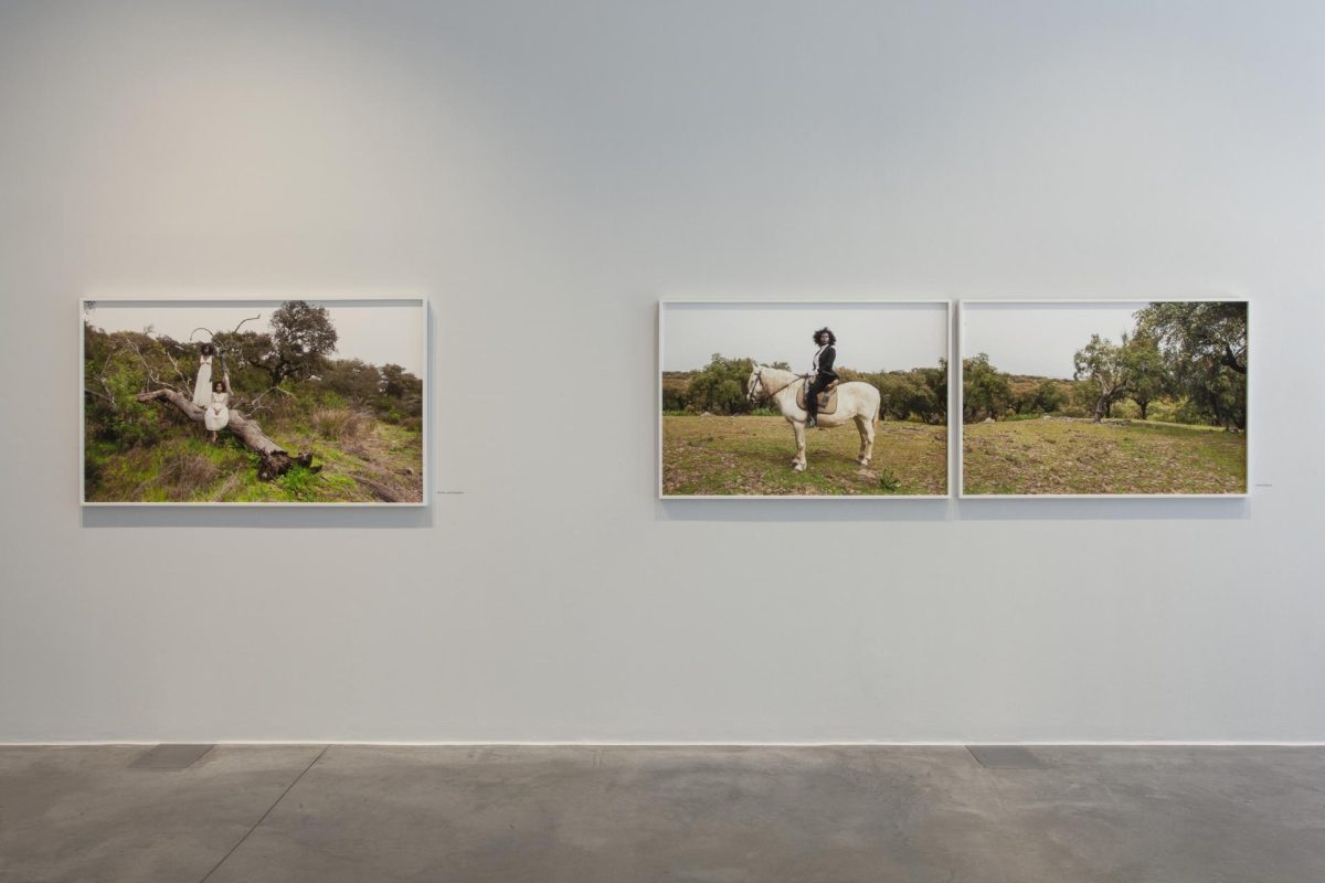 The Island, 2022 Exhibition view Autograph London Photo by Kate Elliott, courtesy of Autograph, London