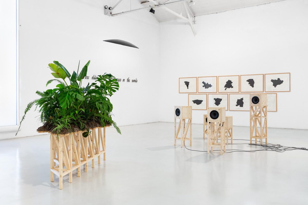 Mirages and Deep Time, 2022 Exhibition view Galerias Municipais - Galeria Avenida da Índia Lisbon Photo by Bruno Lopes