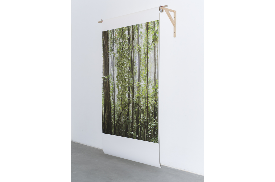 Lost Paradise, 2014 Intervention on inkjet print, wood;  Variable Dimensions