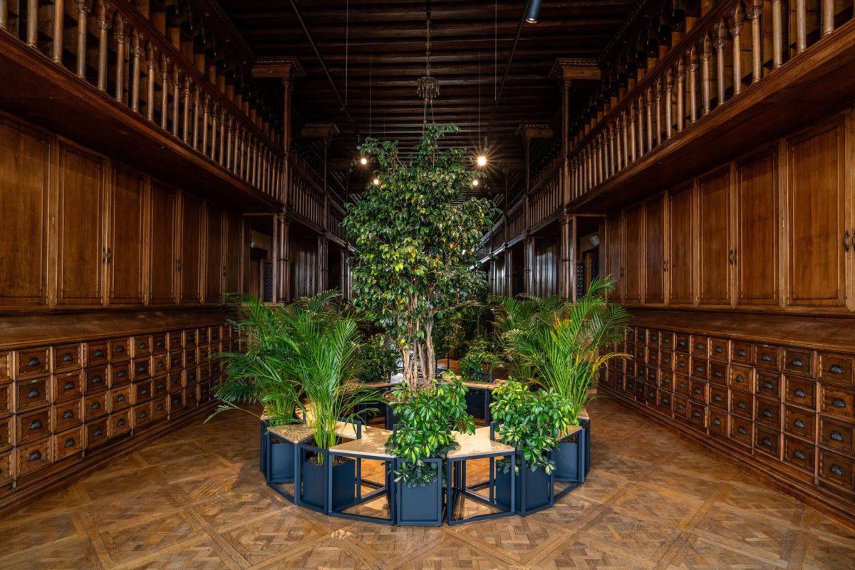 Greenhouse, 2024 Exhibition view at 60th Venice Biennale