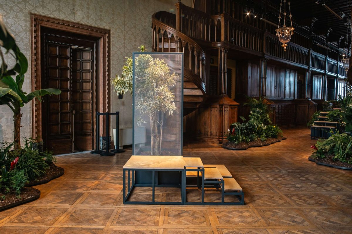 Greenhouse, 2024 Exhibition view at 60th Venice Biennale
