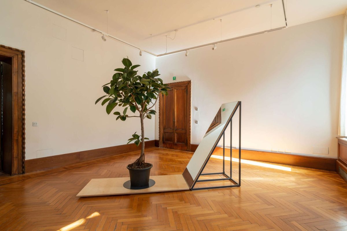 Greenhouse, 2024 Exhibition view at 60th Venice Biennale
