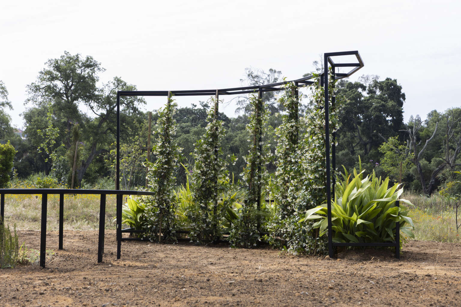 Princess Gardens2026