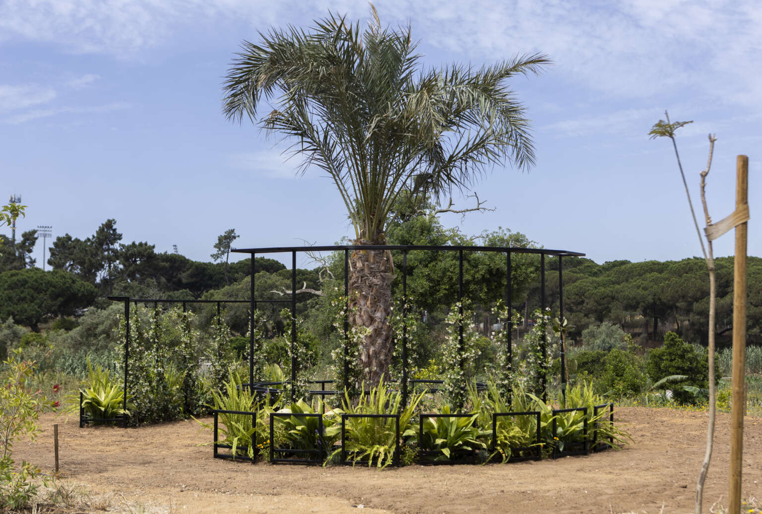 Princess Gardens2026